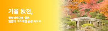 해외 패키지