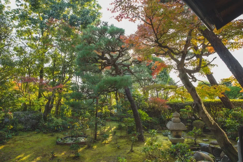 [마츠야마 자유3일] 스마일 호텔 마츠야마급 [세미더블룸/왕복무료송영/관광지쿠폰] 일정 이미지 2