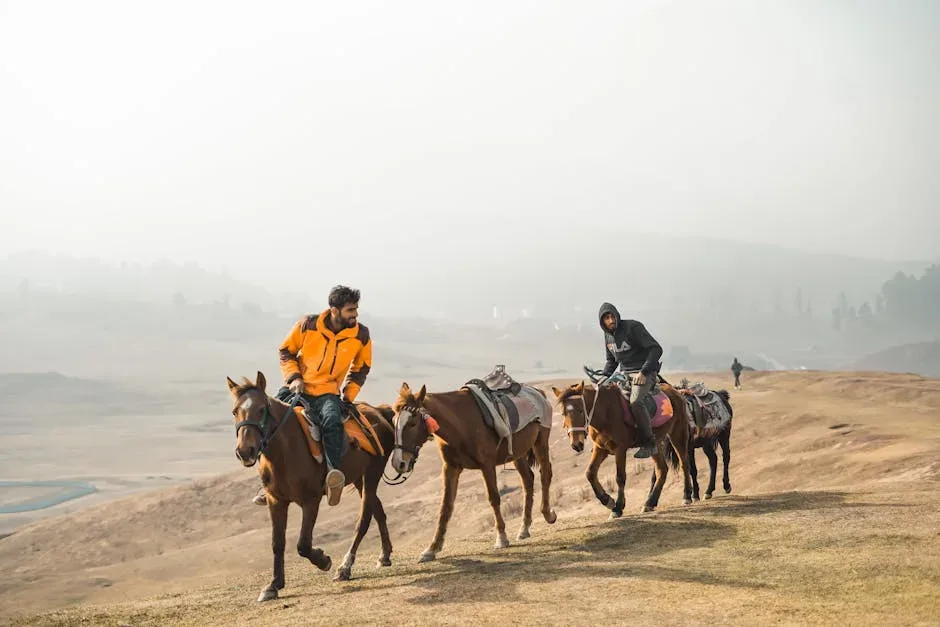 Horse Riding