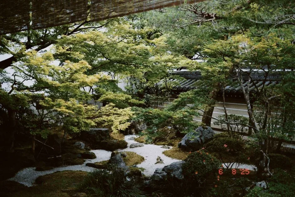 마츠야마/오즈/우치코 역사 도고 온천가♨ 가류산장 마츠야마성 번화가 2박 3일 일정 이미지 3