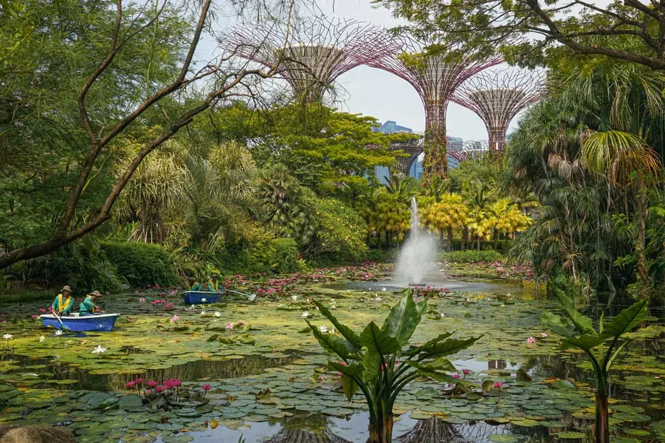 Gardens by the Bay