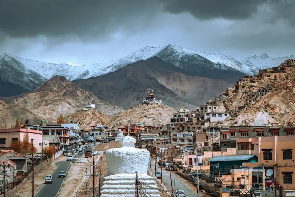 Leh Market