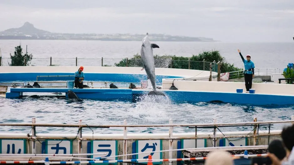 Okinawa Churaumi Aquarium