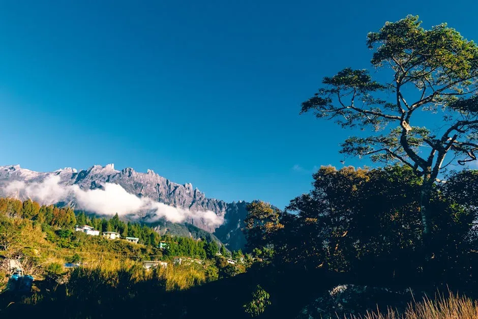 Kota Kinabalu