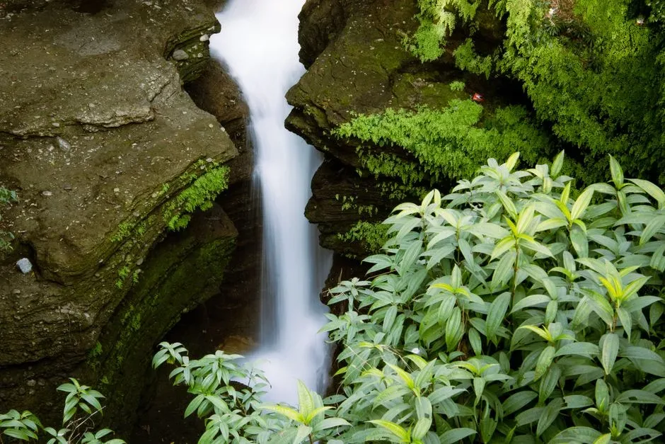 Davis Falls