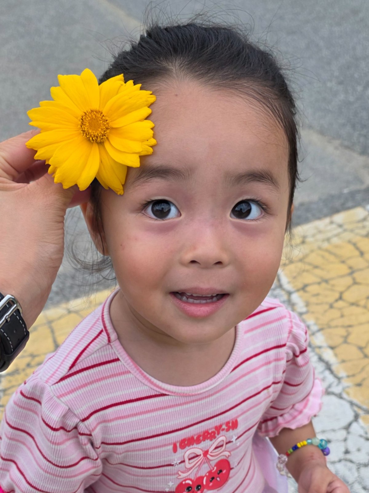 캐스팅하우스 육정안