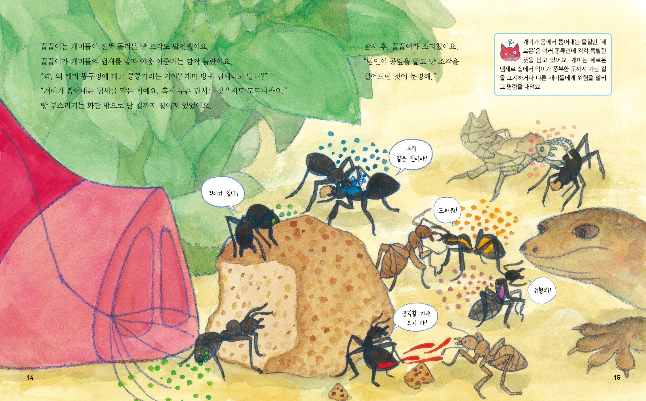 14~15면