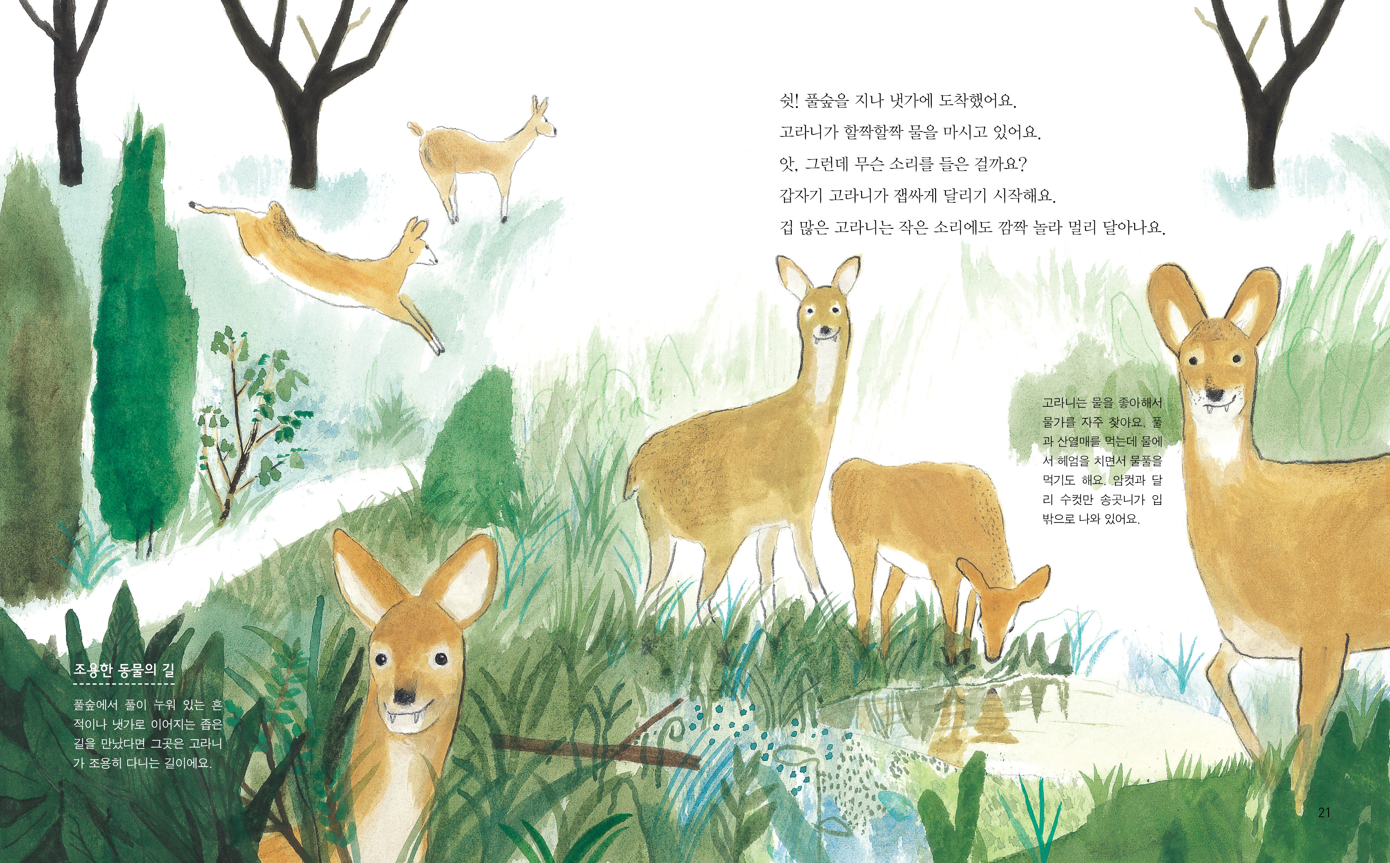 숲에는길이많아요_본문2