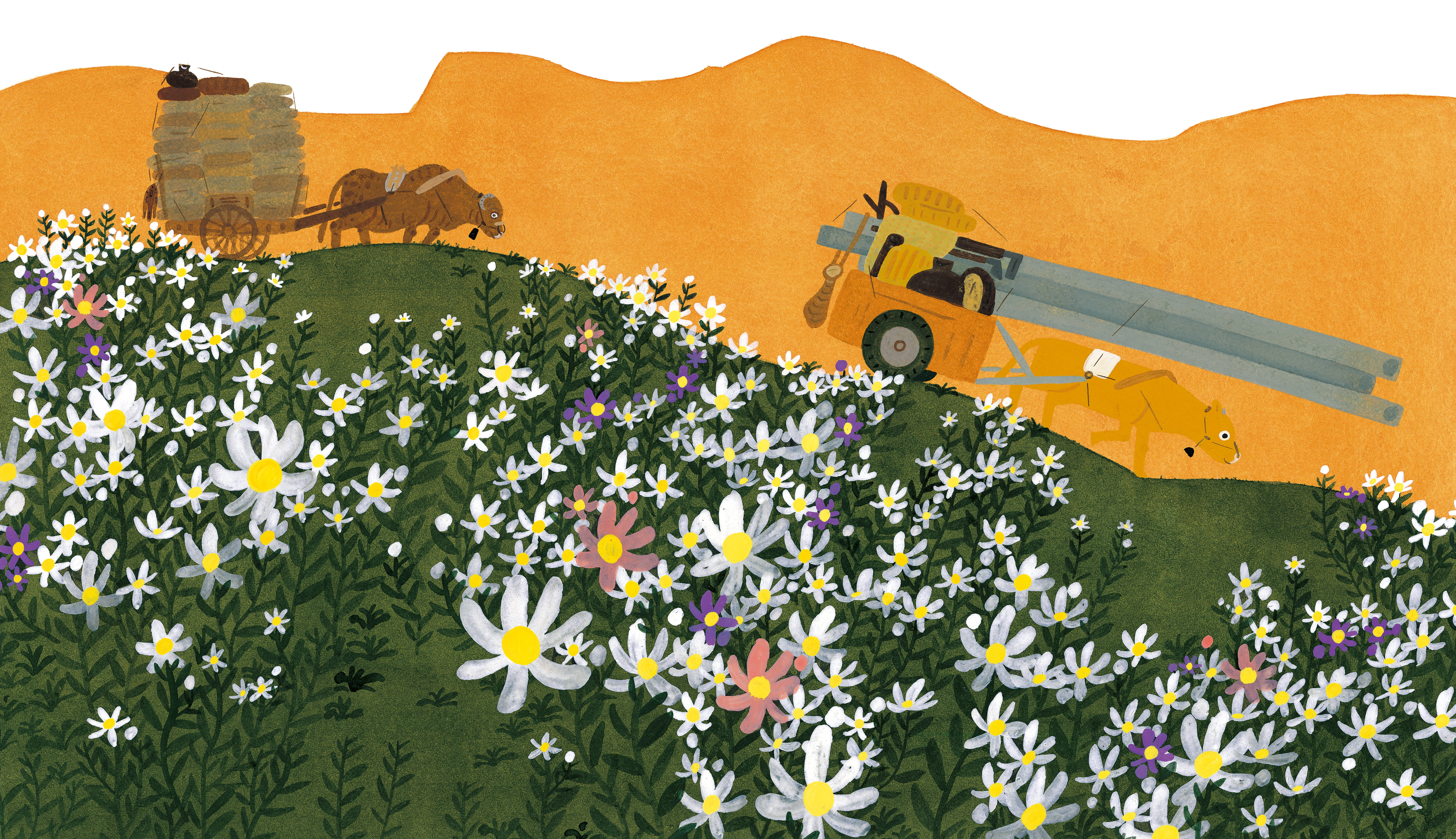 들국화고갯길_본문4