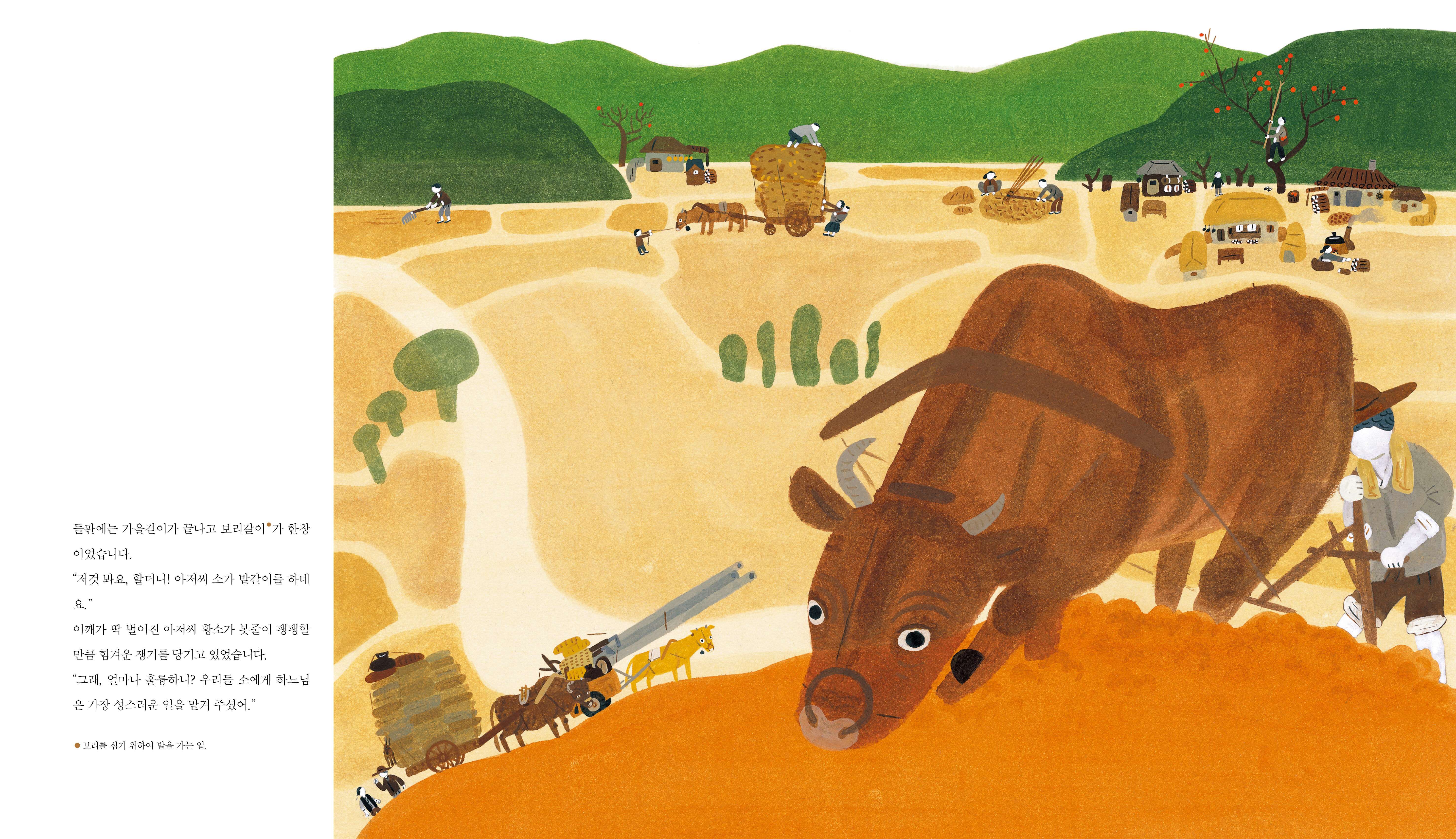 들국화고갯길_본문3