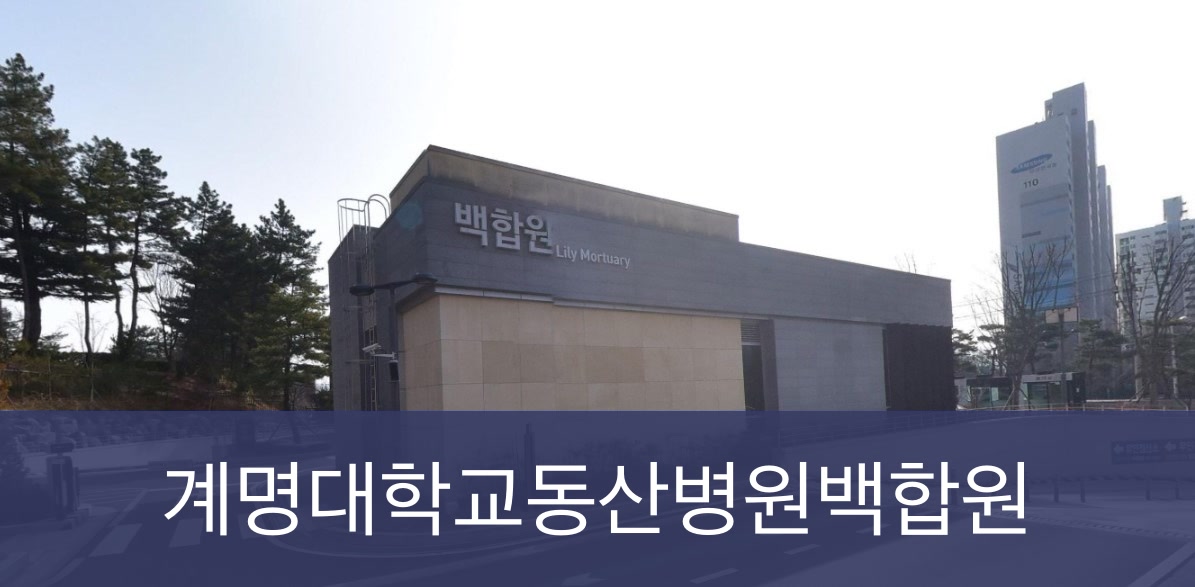동산병원백합원 동산병원백합원 사설
