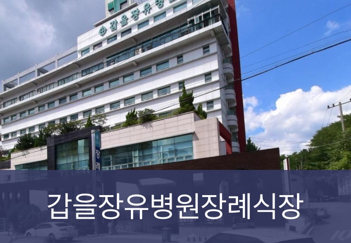 갑을장유병원장례식장 갑을장유병원장례식장 사설