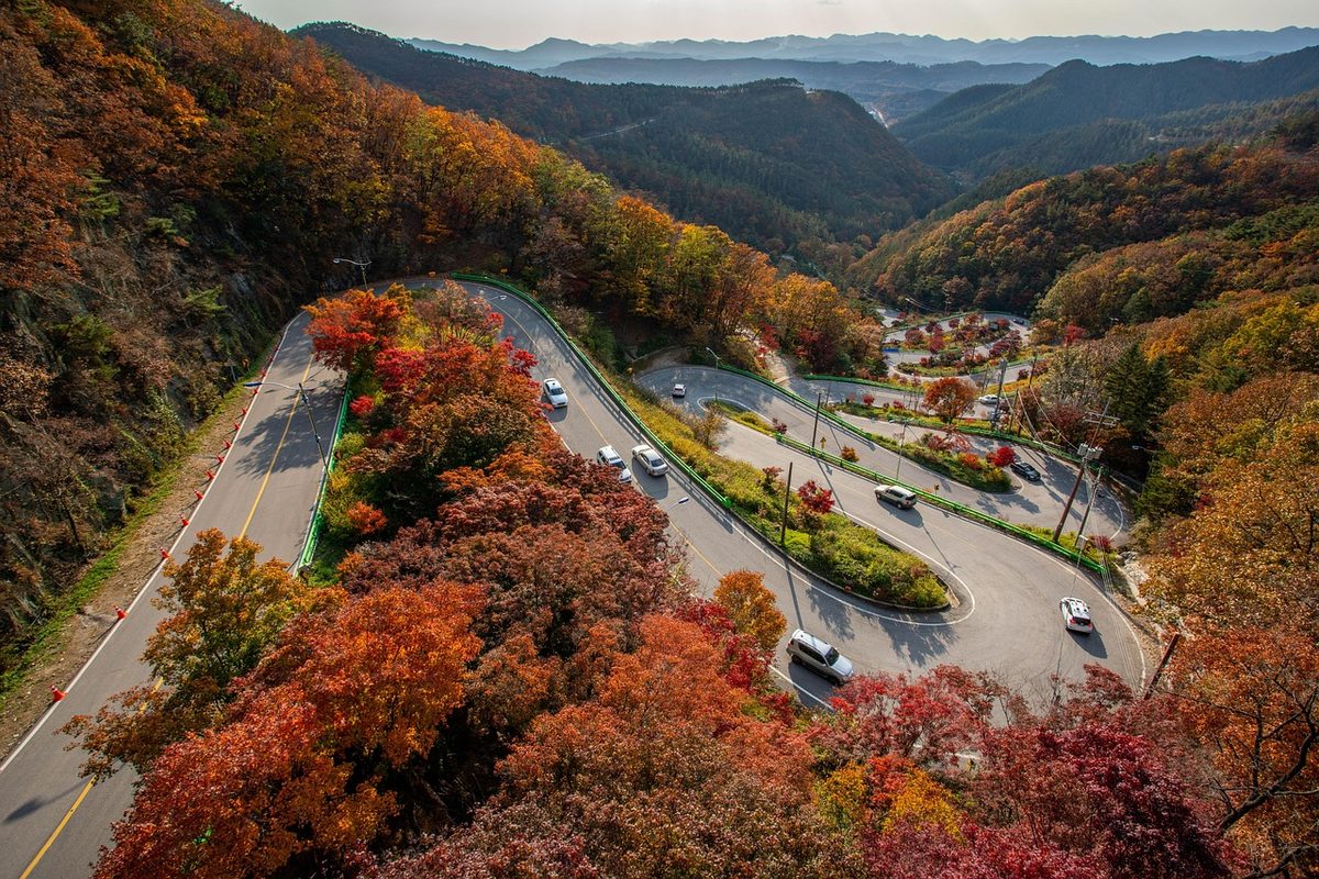 산 능선이 붉고 노랗게 물든 가을 단풍 절정 풍경