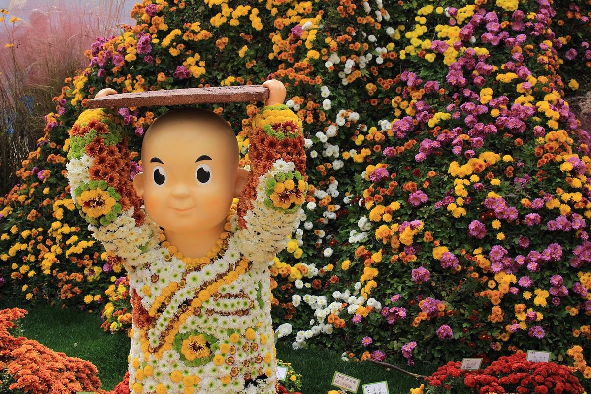 마산 가을 바다 옆 국화 전시 풍경, 국화축제 기본 정보