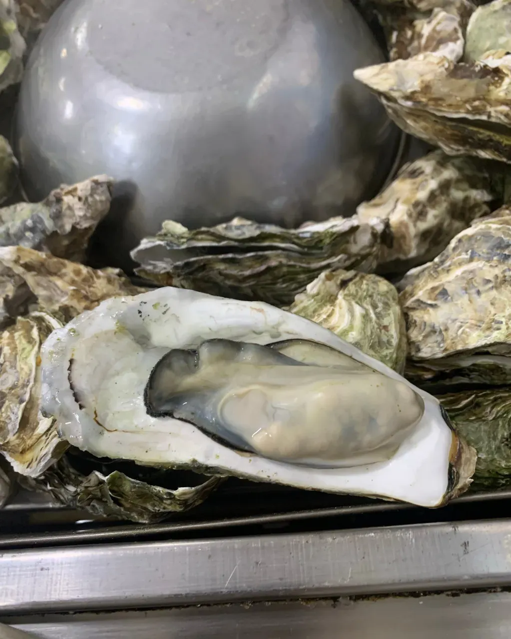 음식점 네이버 리뷰이미지