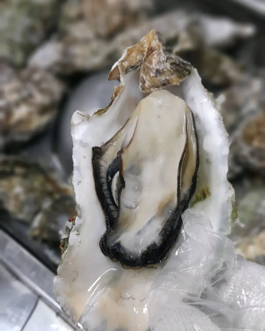 음식점 네이버 리뷰이미지