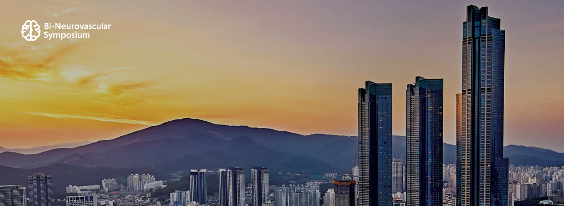 디자인펀치 제작 - Bi-Neurovascular Symposium 2023 Responsive Web/App 메인 비주얼 (PC)