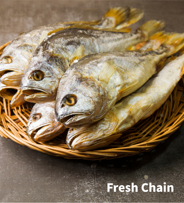 freshchain 포트폴리오 상세 페이지로 이동