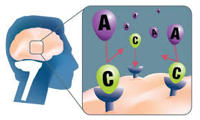 5b9e865f-94ed-4503-8854-27fbeaeade91