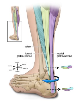 844e6227-c457-4dad-af28-0fc63bab3eae