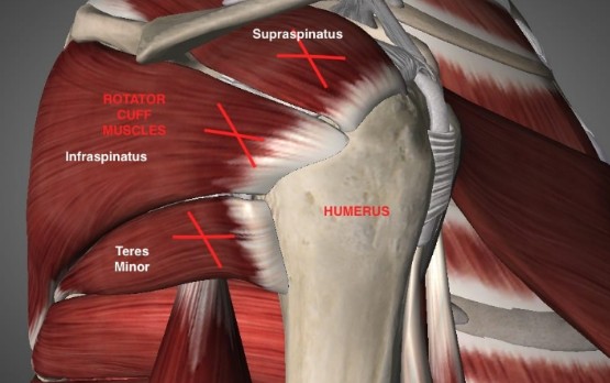 d7674b32-b150-4b3c-9d83-fa65da44a808