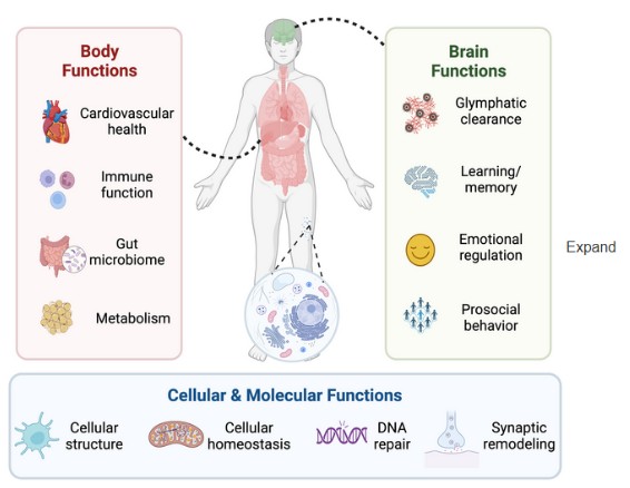 a260c4f8-e17f-447e-8fb1-1694ec7ae5a8
