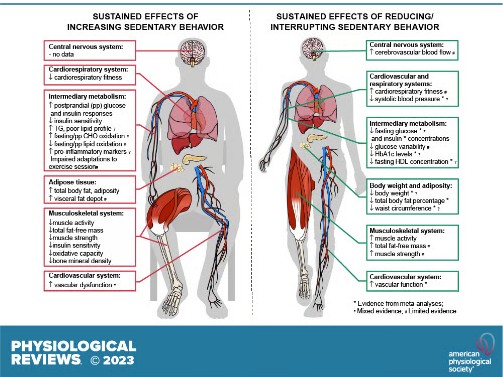 555cbbd8-a3ef-4b50-874f-6a28574a9feb