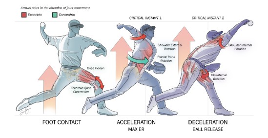 434c5339-4484-4b11-8686-87738105d234