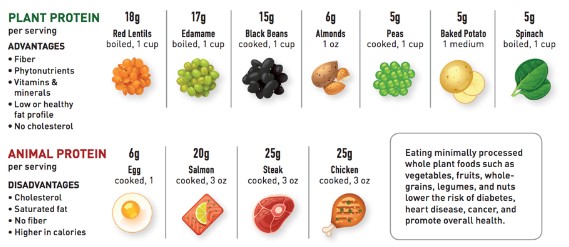 fc12ab5f-2ede-4413-b2bf-7b9e95b01998
