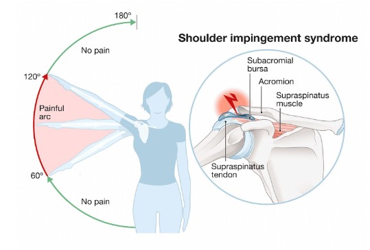 b5ef5f6c-480e-401c-820e-ff39890fab19