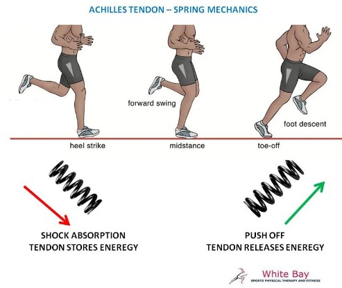 b3629052-3d14-4034-81a4-0246681fd930