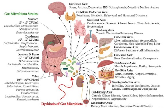 0845fa71-00e5-4735-85dd-479416940547