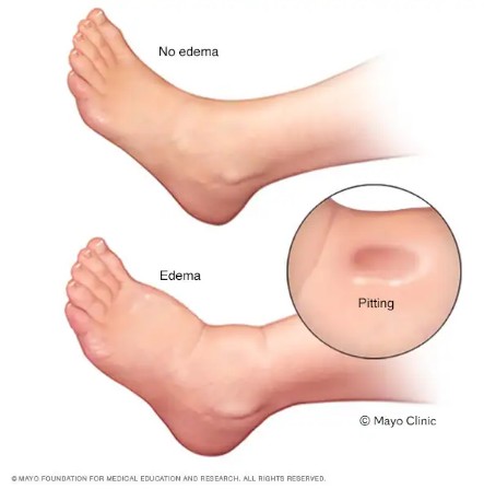 a904d3b6-ad25-4e75-afd8-d28b2354555e