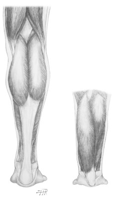 c3f2393d-f081-406c-8e04-bf92d2ad2def