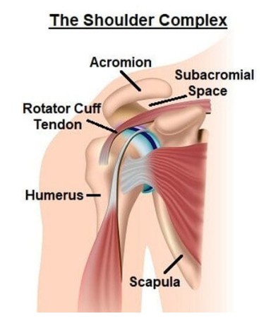 01ad928a-0dc3-4276-9673-63a8a864acaa