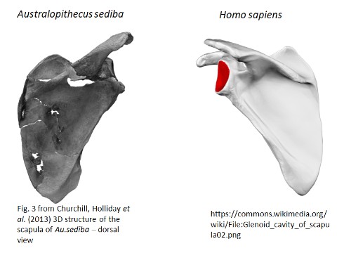 560cc972-4db2-4ef5-8726-b890eb20b7d3