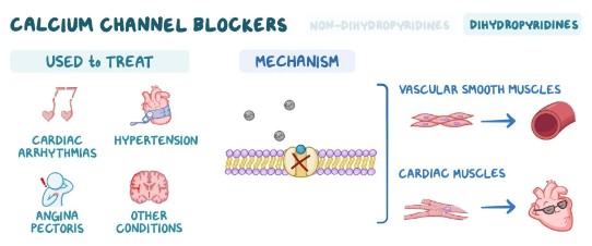 bac21bd6-f417-4353-97fd-285bb7427c3c