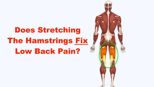 56cb69d5-5771-4445-aa9f-c37e2fab4251