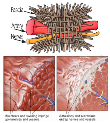 e23bfb66-9ddc-4859-b8bd-50dd144893fb