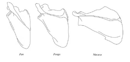 05f50864-bad6-42c3-b62c-d5c14c129362