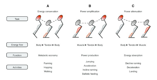 e33e55e5-d6bd-4325-84bd-9c8d6e3a3beb