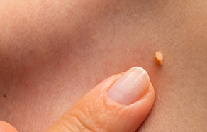 7259aeb3-58dc-4dff-930c-ec47db3adbf4