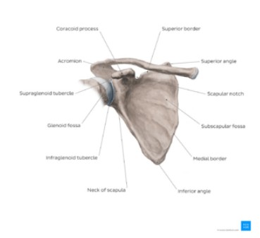 507246f8-e492-4baa-a2cf-c8676a53ce49