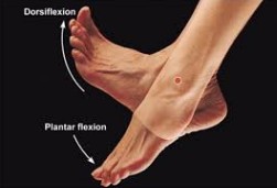 4d3b9eaa-8bce-40f9-b60f-48e809bdeff5