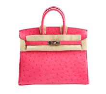 에르메스 오스트리치 벌킨 25 푸샤핑크 은장 Y 보러가기