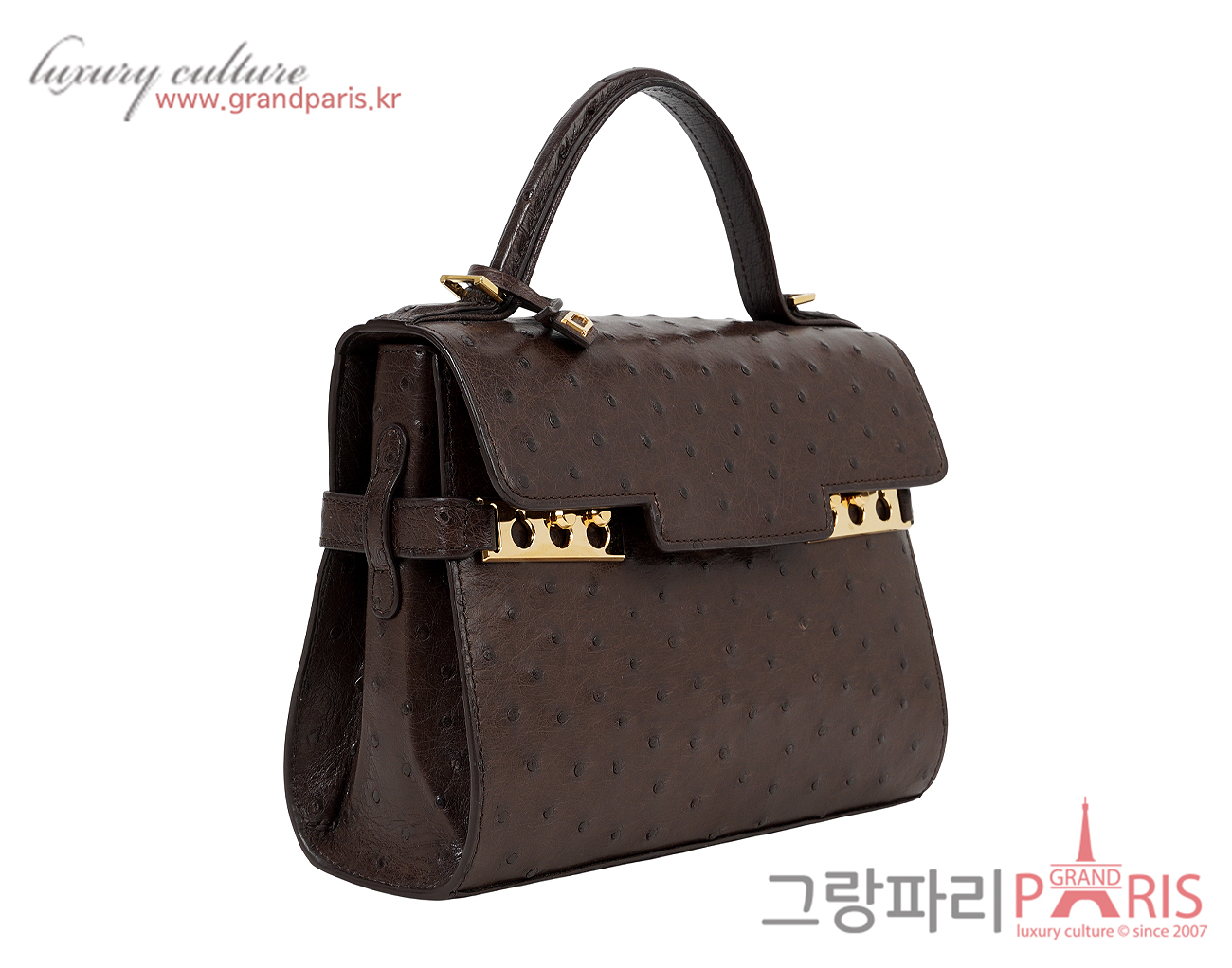 델보 톰페트 미니 오스트리치 브라운 금장