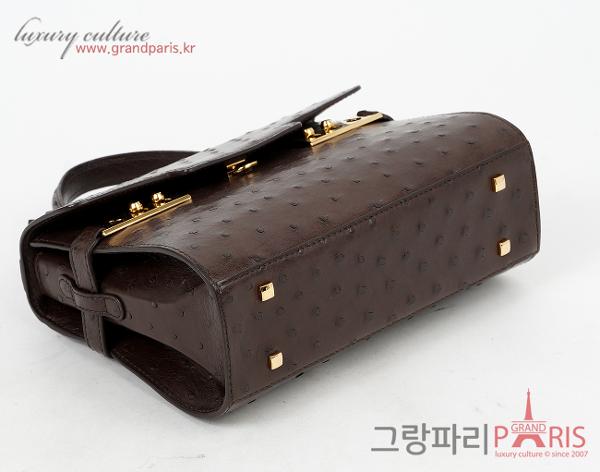 델보 톰페트 미니 오스트리치 브라운 금장