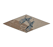 G75255