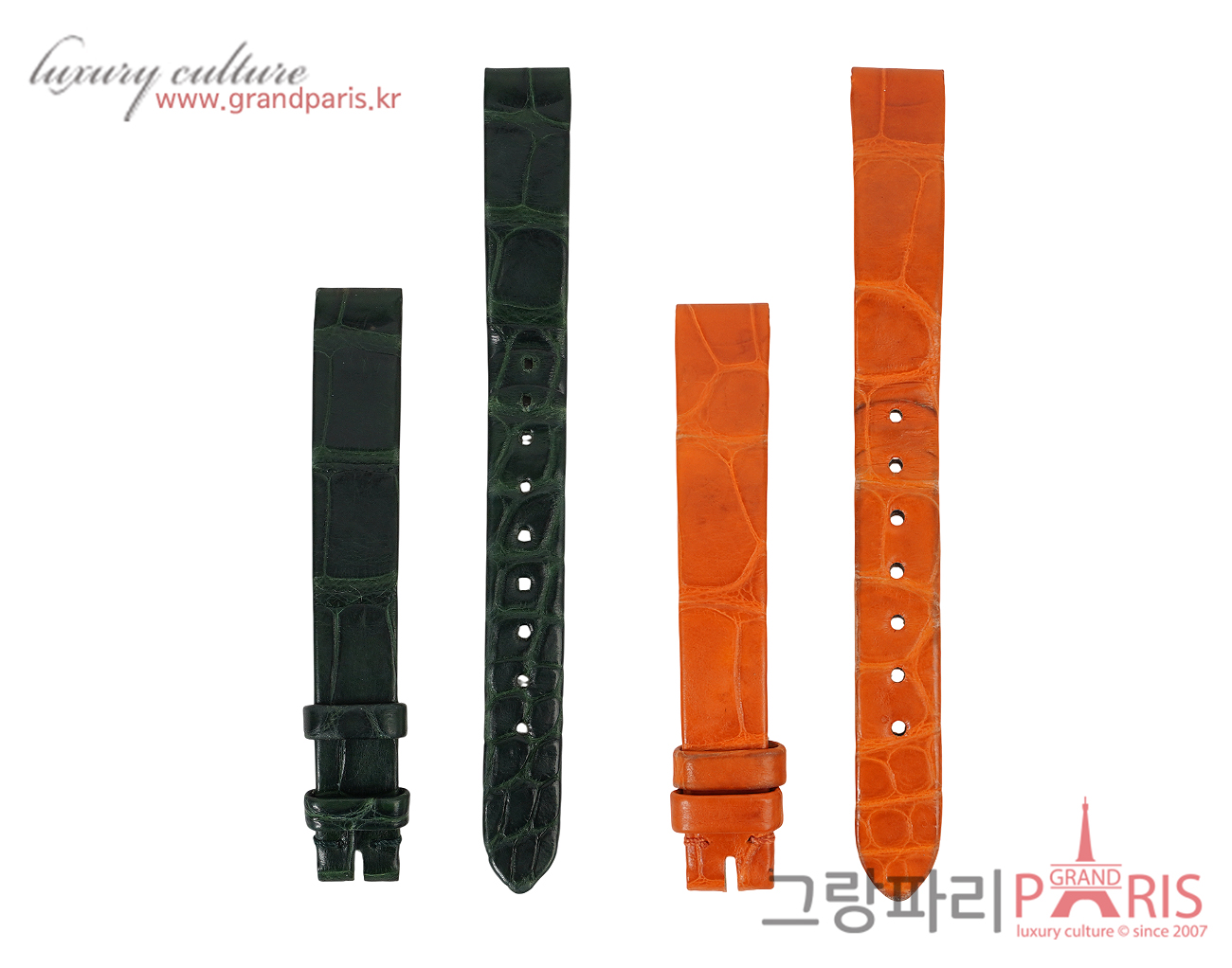 까르띠에 베누아 엘리게이터 스트랩 Set