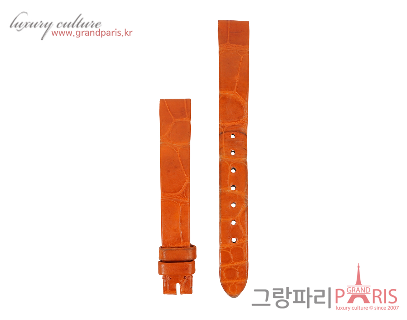 까르띠에 베누아 엘리게이터 스트랩 Set
